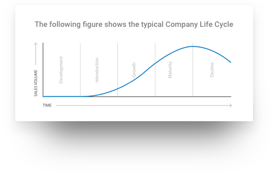 company-life-cycle